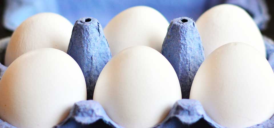 Proveedurias Argentinas